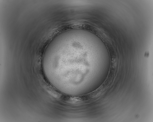 X0000091960753200709201343