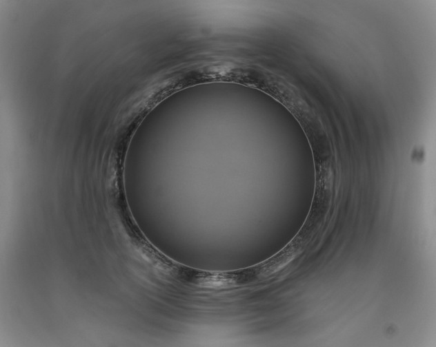 X0000091960754200709201343