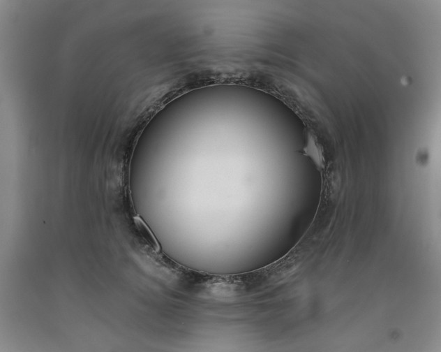 X0000091960756200709201343