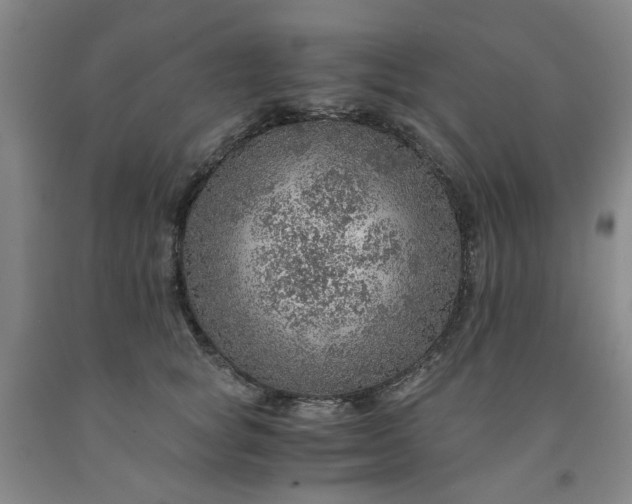 X0000091960757200709201343