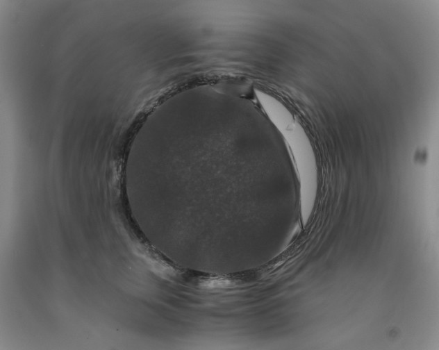 X0000091960759200709201343