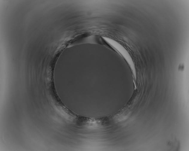 X0000091960760200709201343