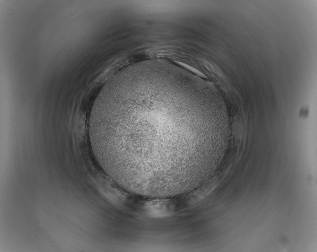 X0000091960761200709201343