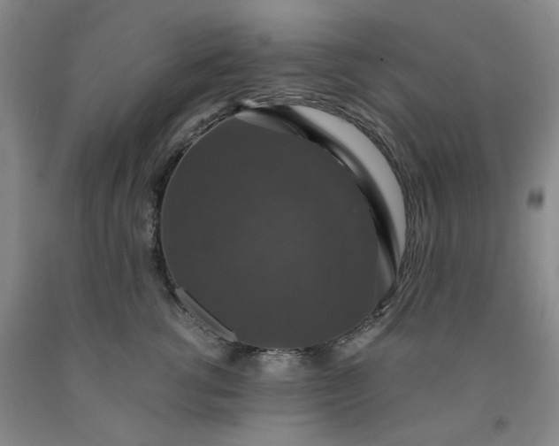 X0000091960762200709201343