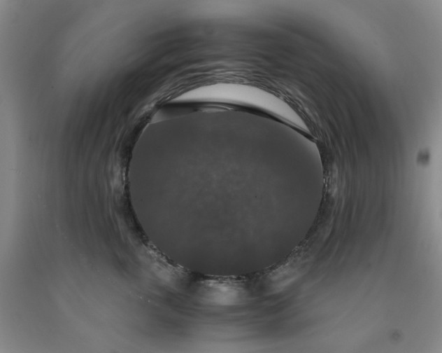 X0000091960763200709201343