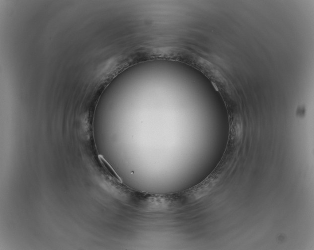 X0000091960764200709201343