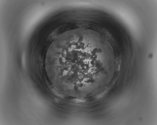 X0000091960765200709201343