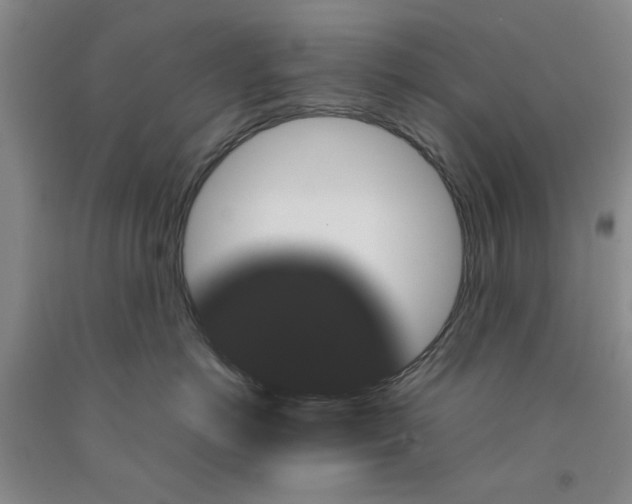 X0000091960766200709201343