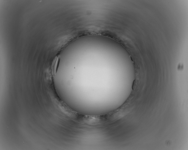 X0000091960768200709201343