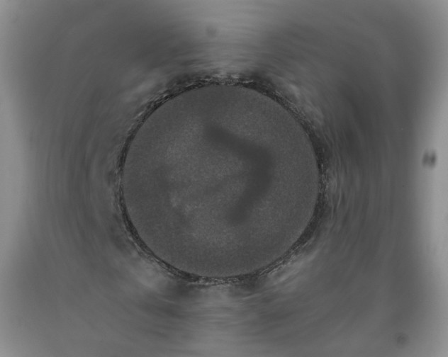 X0000091960769200709201343