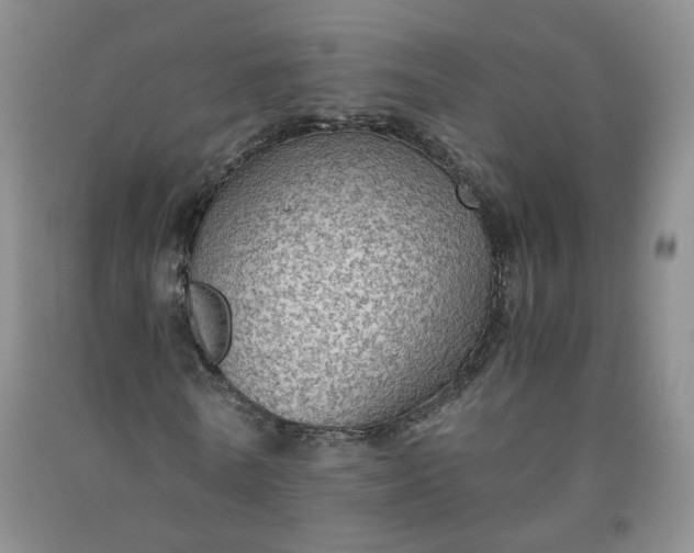 X0000091960770200709201343