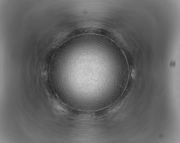 X0000091960771200709201343