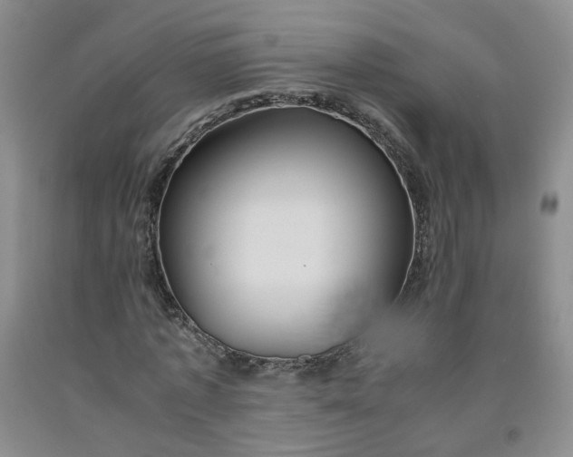 X0000091960773200709201343