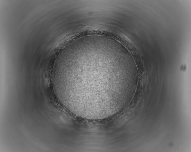 X0000091960774200709201343