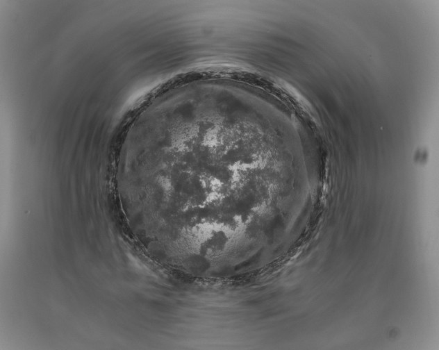 X0000091960775200709201343