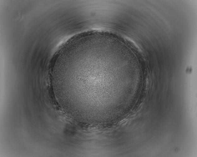 X0000091960776200709201343