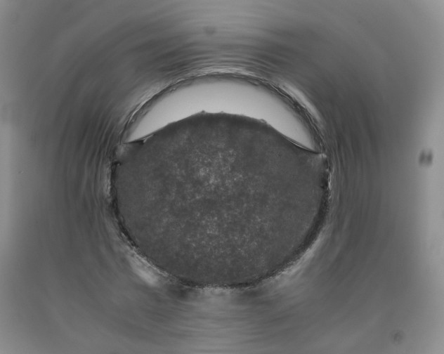 X0000091960777200709201343