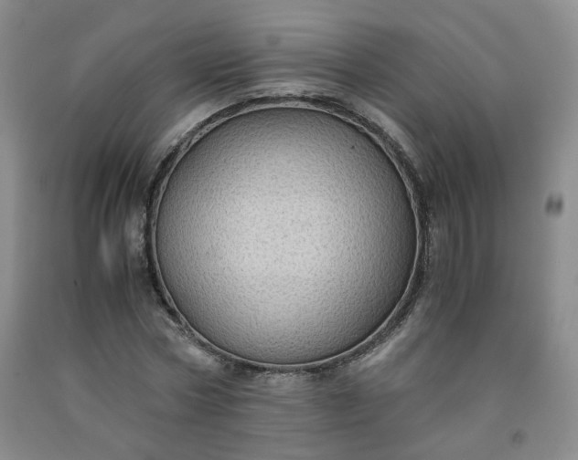 X0000091960778200709201343