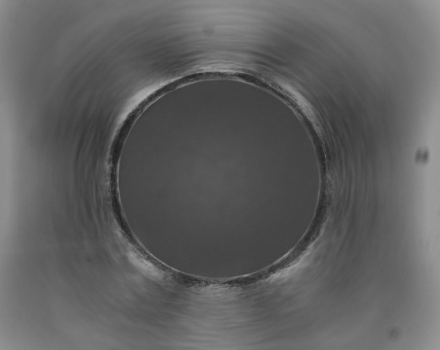 X0000091960779200709201342