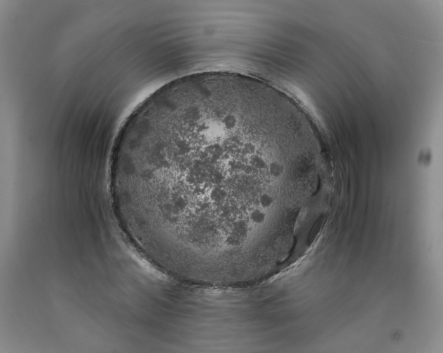 X0000091960780200709201342