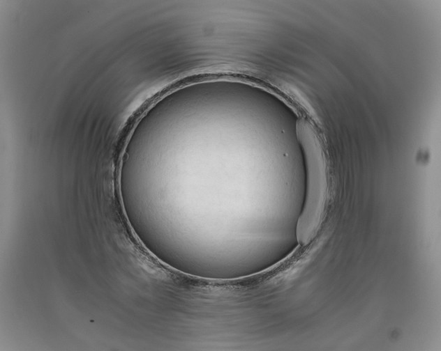 X0000091960781200709201342