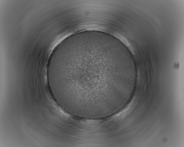 X0000091960782200709201342