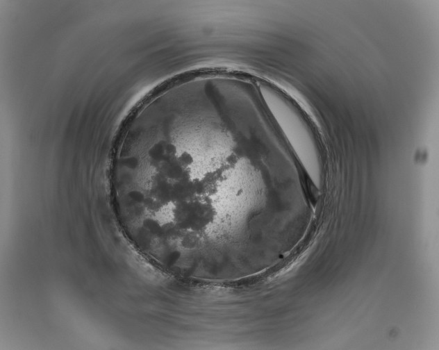 X0000091960783200709201342