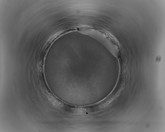 X0000091960785200709201342