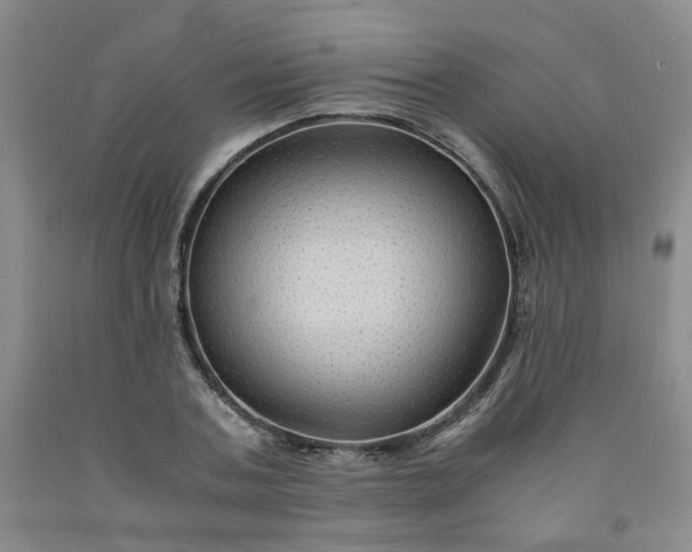 X0000091960787200709201342