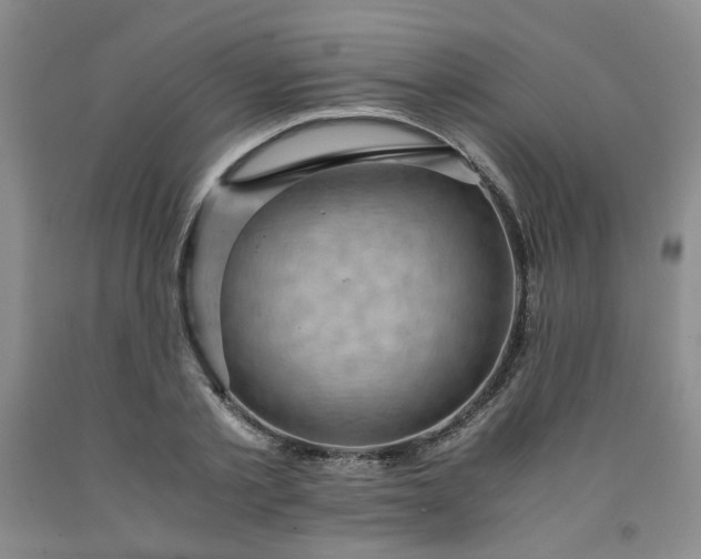 X0000091960789200709201342