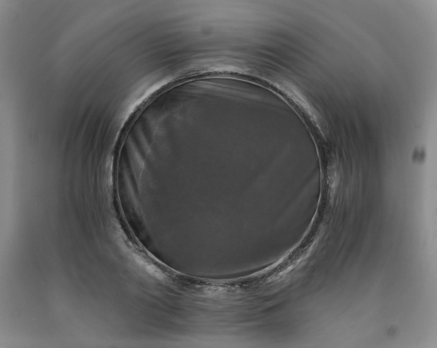 X0000091960790200709201342