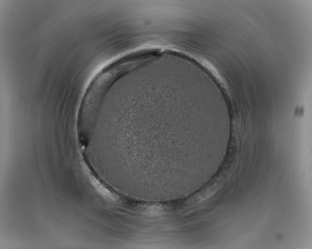 X0000091960791200709201342