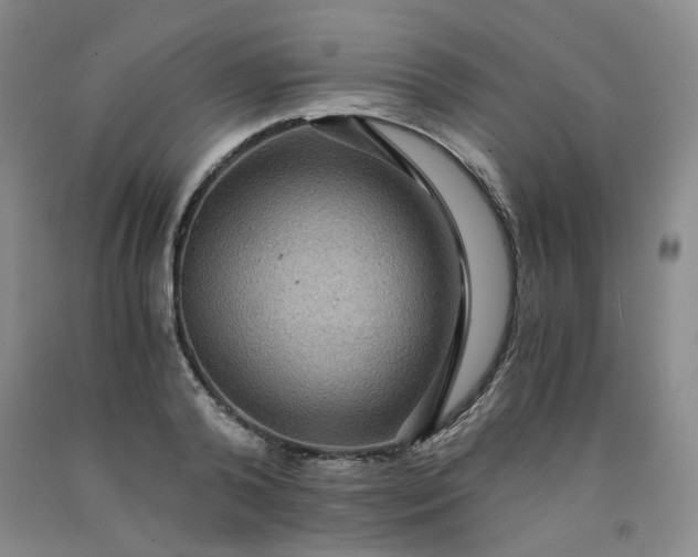 X0000091960792200709201342