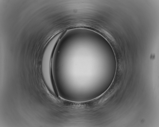 X0000091960793200709201342