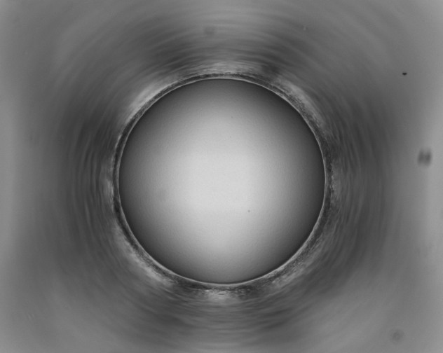 X0000091960794200709201342