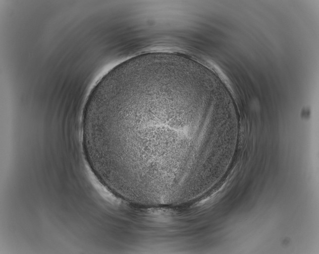 X0000091960795200709201342