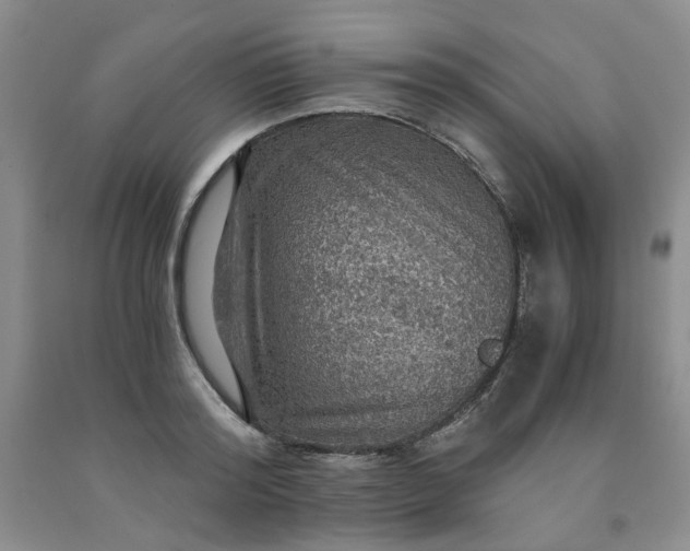 X0000091960796200709201342