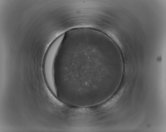 X0000091960797200709201342