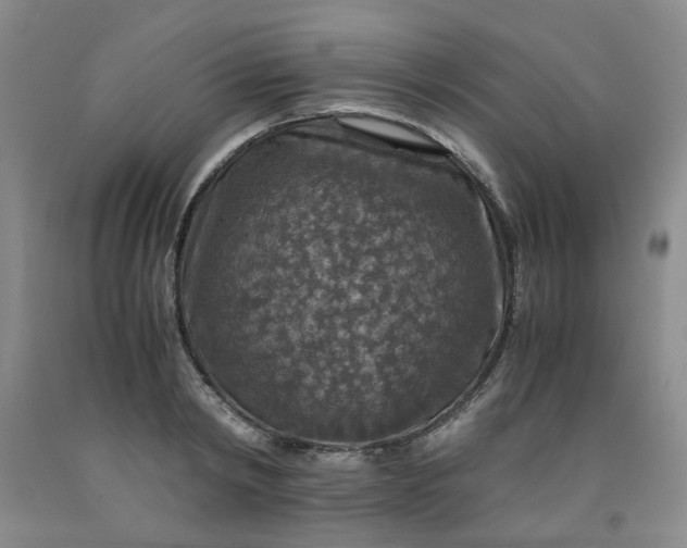 X0000091960798200709201342