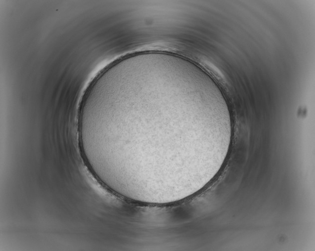 X0000091960800200709201342