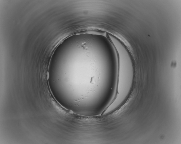 X0000091960801200709201342