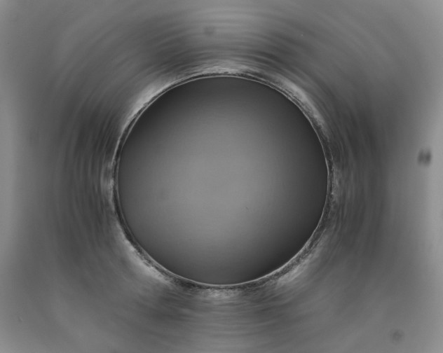 X0000091960802200709201342