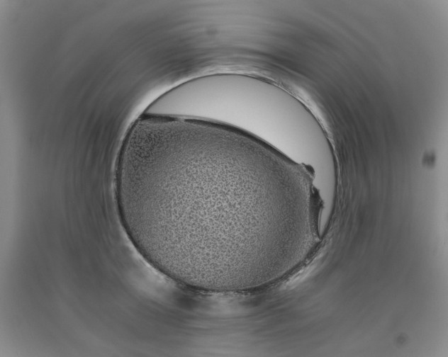 X0000091960803200709201342