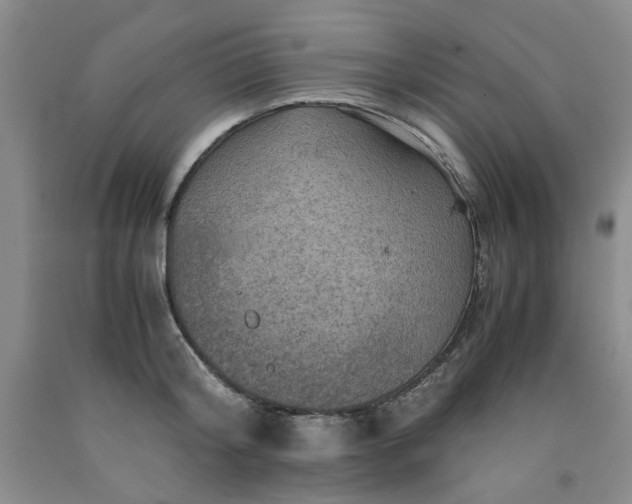 X0000091960804200709201342