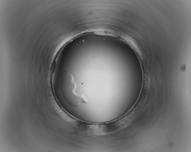 X0000091960805200709201342