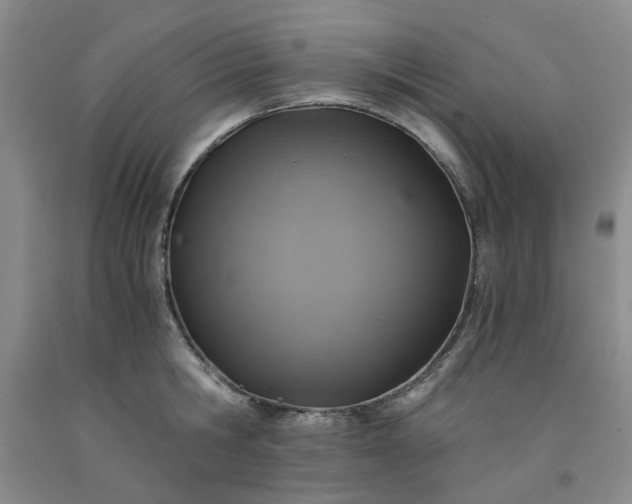 X0000091960806200709201342