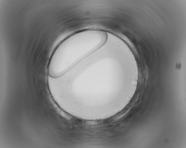 X0000091960807200709201342