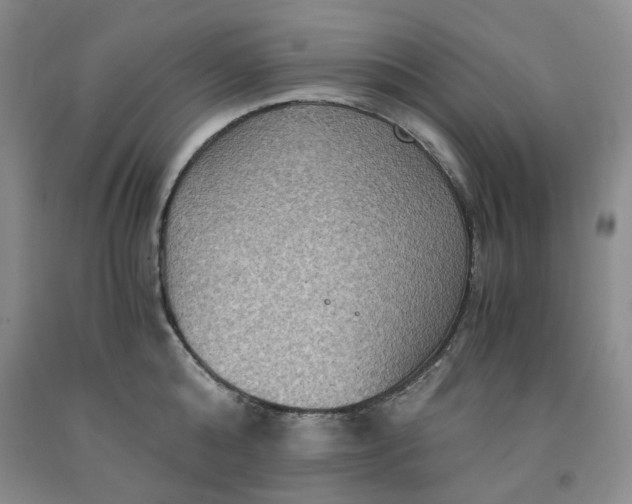 X0000091960808200709201342