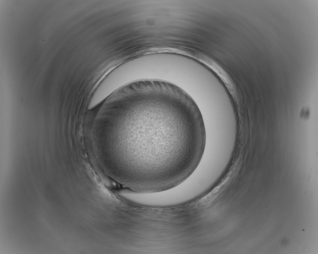 X0000091960809200709201342