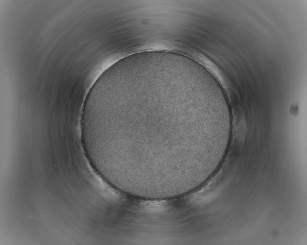 X0000091960810200709201342